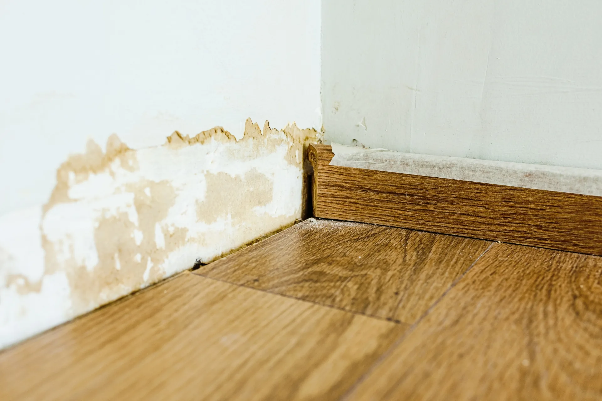 Comprehensive Moisture Solutions